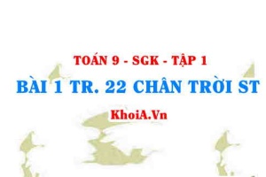 Bài 1 trang 22 Toán 9 Chân trời sáng tạo Tập 1